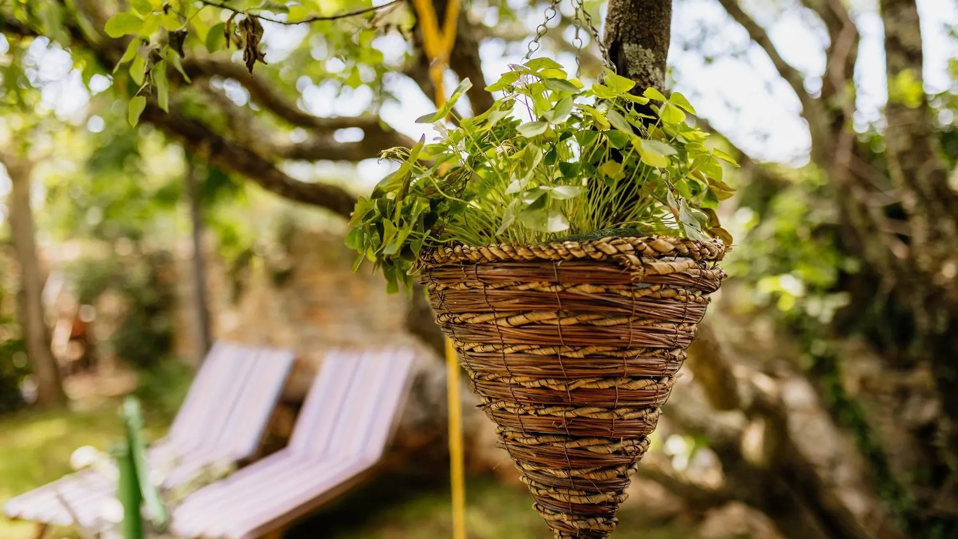 Peroj'S Green Oasis - Holiday Home Croatia